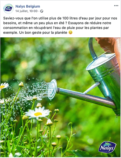 Création de contenu pour Cosynel & Nalys - Stratégie de contenu