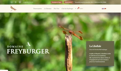 Domaine Freyburger - Website Creatie