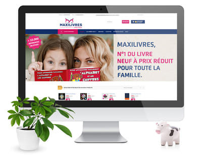MaxiLivres - Refonte site E-commerce - Stratégie digitale