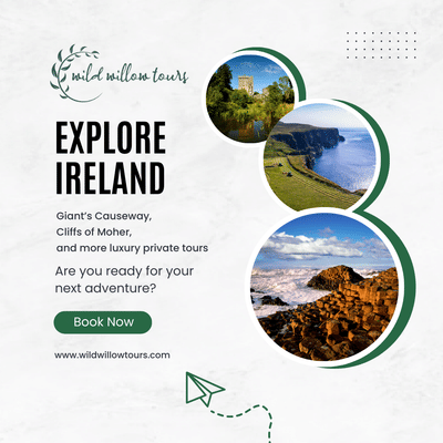 Wild Willow Tours website and social media - SEO