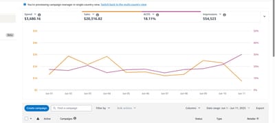 Amazon PPC Campaign Management – $20K+ Sales with 18% ACOS - Publicité