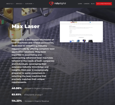 MaxLaser (SEO) - SEO