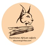 numinous African safaris