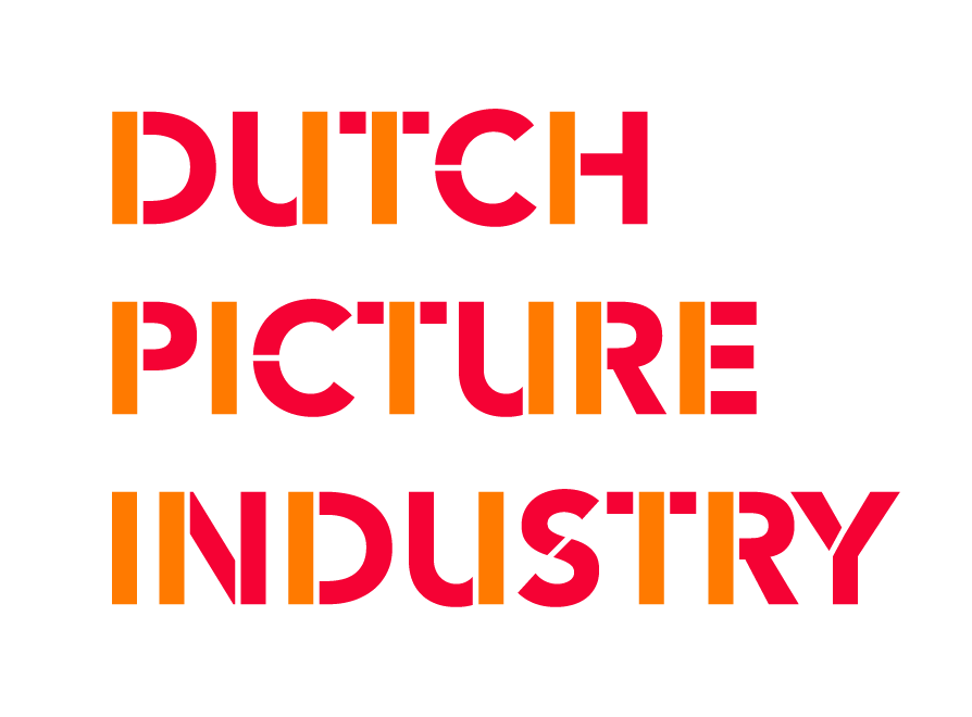 DUTCH PICTURE INDUSTRY