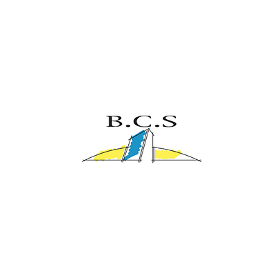 BCS - Référencement SEO et Webdesign - Design & graphisme