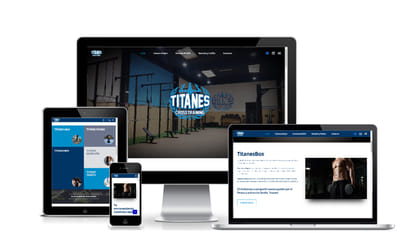 Web Gym Titanes Box - SEO