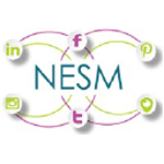 Northeast Social Media logo