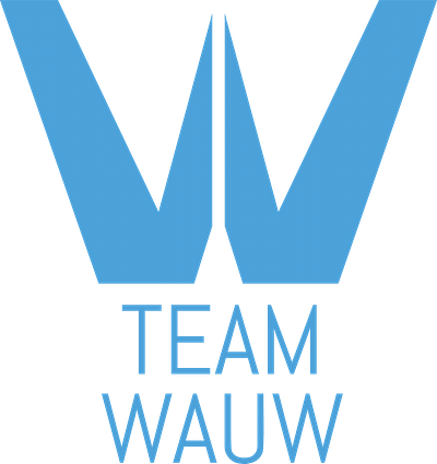 Team Wauw - Social ads campagne - Publicité en ligne