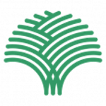 BoTree Technologies Pvt. Ltd. logo