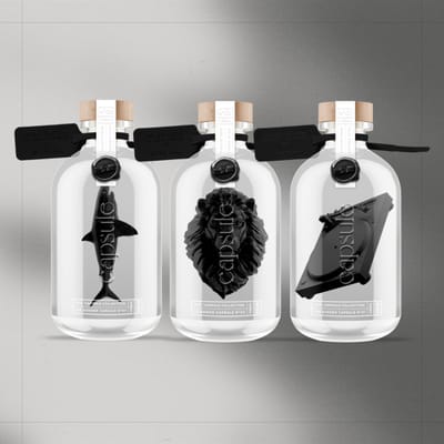 Bouteille - packaging - Graphic Design