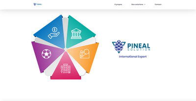 https://www.pinealsolution.com/ - Website Creation