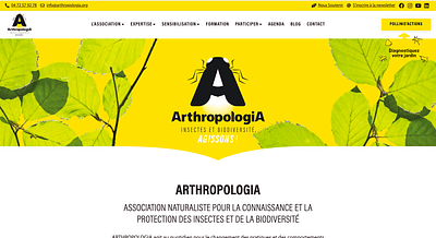Site vitrine Arthropologia - Web Application
