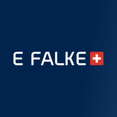 Internetfalke