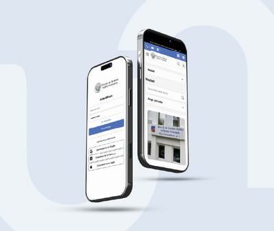 Public Health Directorate Constanța - Estrategia digital