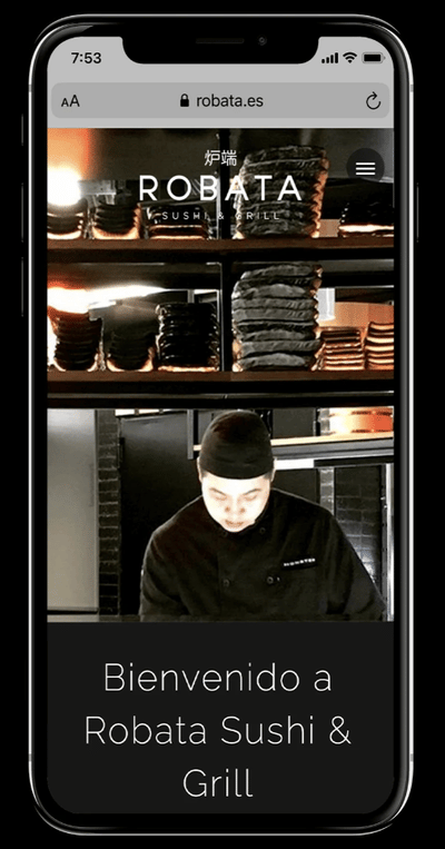 Robata - Google y Meta Ads, Rediseño Web y SEO - Publicidad Online