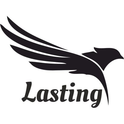 Lasting Web Design