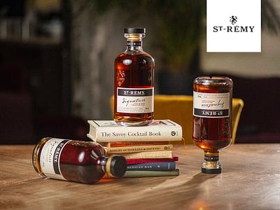 ST REMY - SOCIAL MÉDIA INTERNATIONAL - Image de marque & branding