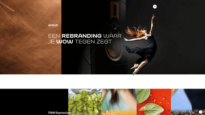 Bonkend - Website Creatie