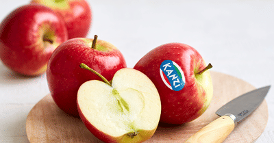 KANZI -  Promotional Campaign - Media Planning