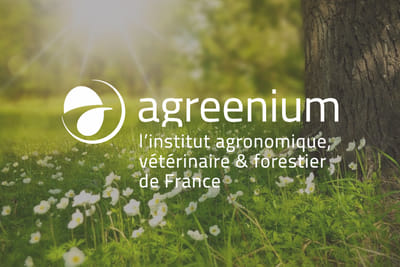 Agreenium - Stratégie digitale
