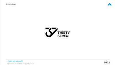 37 Thirty Seven - Webseitengestaltung