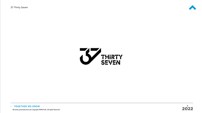 37 Thirty Seven - Website Creatie