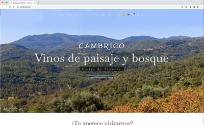 Bodega Cámbrico - Website Creation