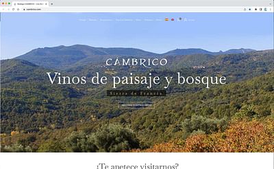 Bodega Cámbrico - Création de site internet