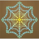 Spider Video Pty Ltd logo