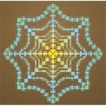 Spider Video Pty Ltd