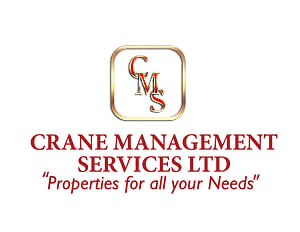 Crane Management Services - Stratégie digitale