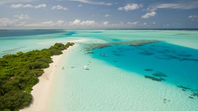 Over $1M and Counting for a Global Travel Brand - Publicité
