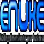 Enuke Software Pvt Ltd. logo
