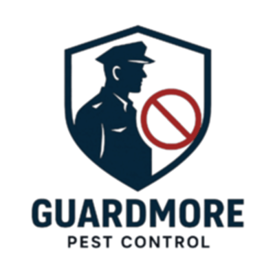 Guard More reports 16-Fold Rise in Client AI Recommendations - SEO