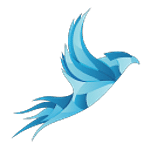 Agile Marketing Agency