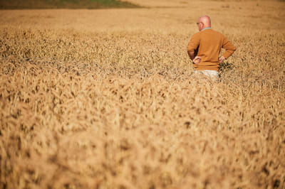 How to go from field to bread - Image de marque & branding
