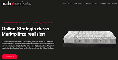 Markenbekanntheit auf Amazon, OTTO und Kaufland - E-commerce