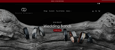 Sesto Synergy - Digital Marketing - Creazione di siti web