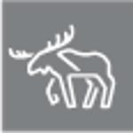 Motherland AB logo