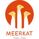 Meerkat