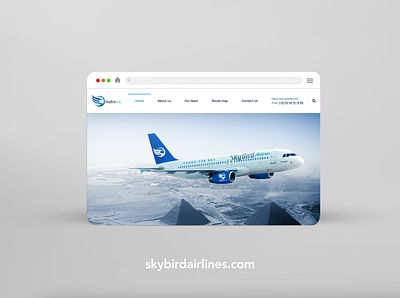 Skybird Airlines website - E-commerce