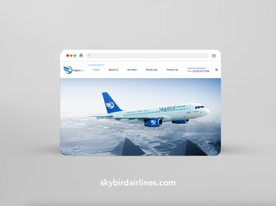 Skybird Airlines website - E-Commerce