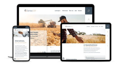 service-erp.de - Digitale Strategie