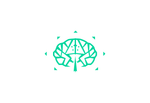 IQTrek Consulting Pvt Ltd logo