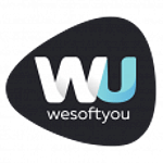 WeSoftYou LLC logo