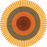 Catalyst Events (Pty) Ltd