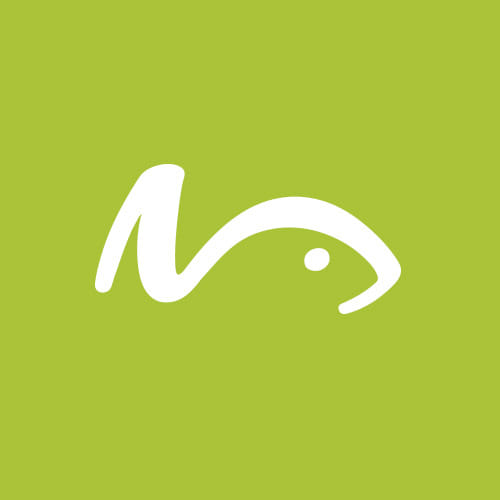 Limefish Design