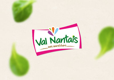 Val Nantais (Groupe Terrena) - Website Creation