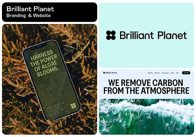 Brilliant Planet - Branding & Positioning