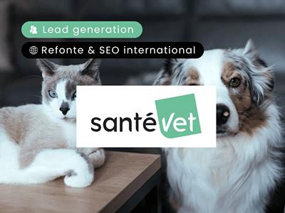 x2 de mots-clés dans le Top 3 en 2 ans | Refonte SEO multi-sites - SEO